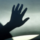 Illustration for article titled How a three-fingered hand "regrew" its digits after amputation